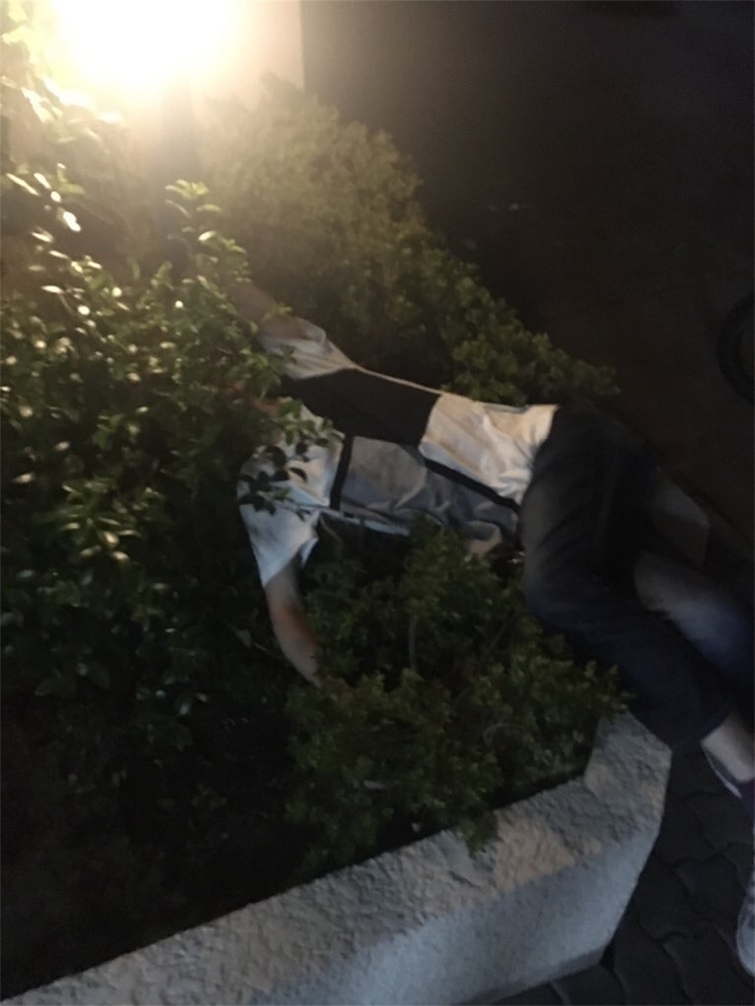 f:id:philippe_hiro_hero:20190827041533j:image f:id:philippe_hiro_hero:20190827041533j:image