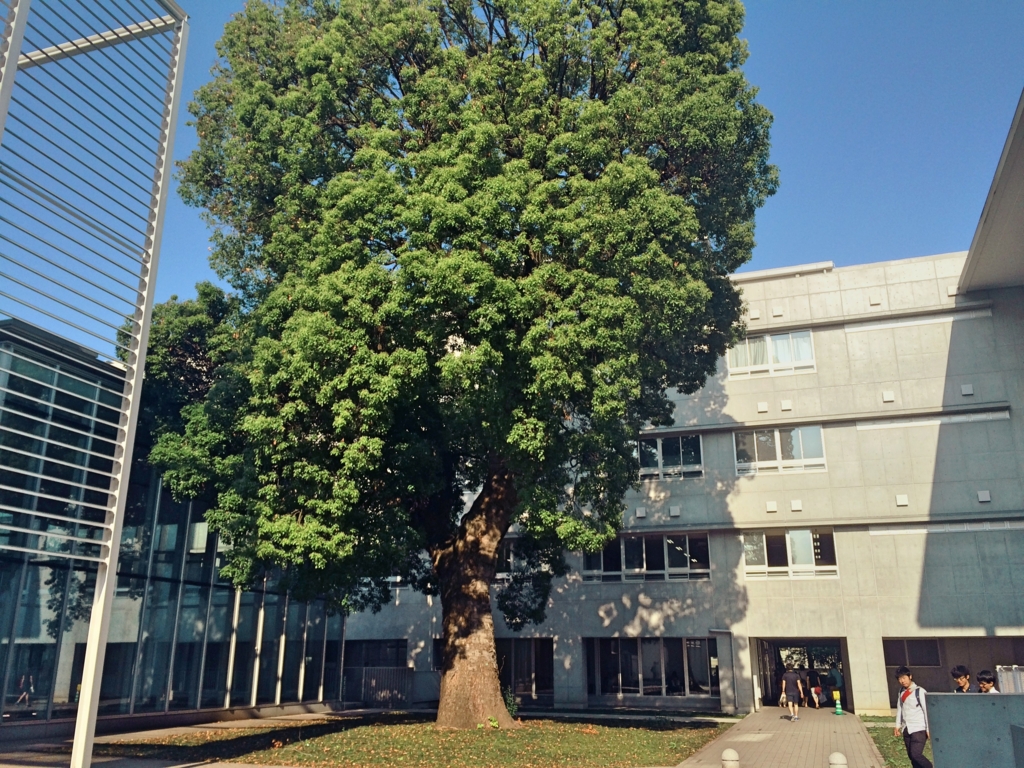 不確定性の形而上学 ライプニッツ モナドロジー 神