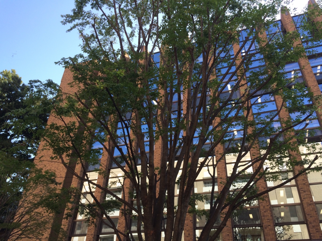 f:id:philo1985:20161022214421j:plain 哲学 就職 アルバイト 奨学金 論文 ソクラテス アウグスティヌス キルケゴール イデア 現象界