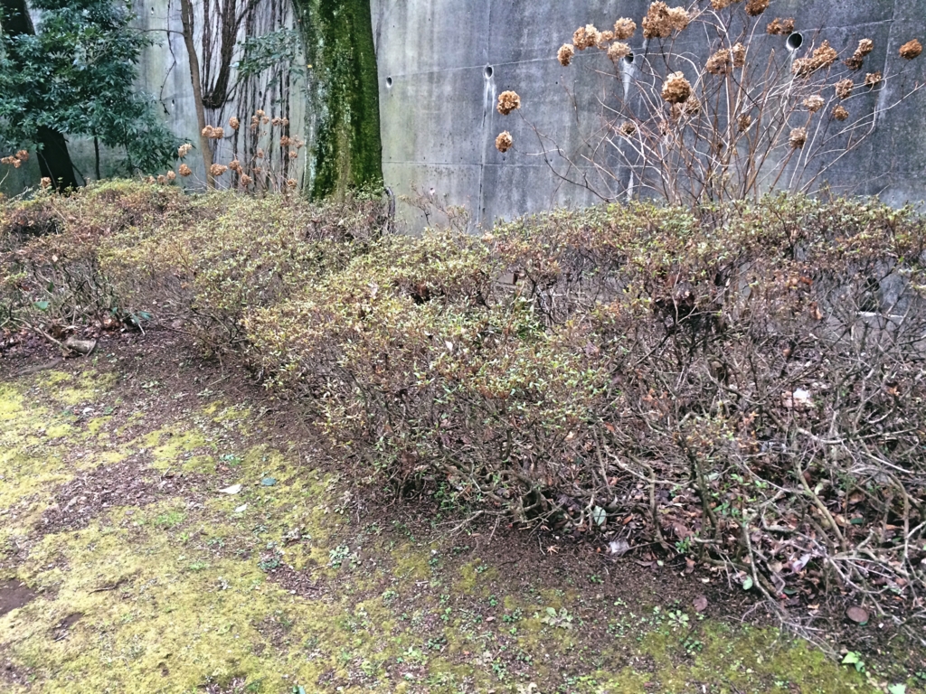 f:id:philo1985:20170303054416j:plain 哲学 神学 ソクラテス キルケゴール ハーマン キリスト