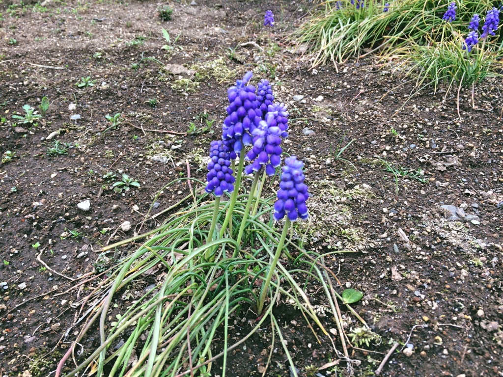 f:id:philo1985:20170408034010j:plain 信仰対象 哲学 差異 ジル・ドゥルーズ ハイデガー 存在の歴史