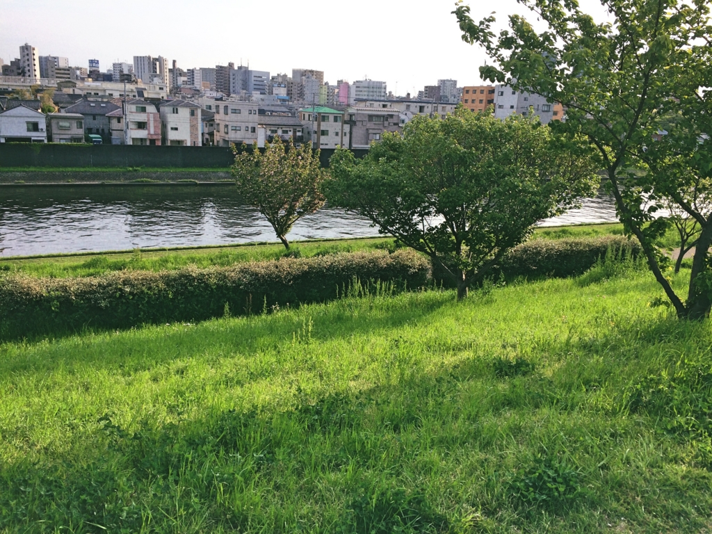 f:id:philo1985:20170508050545j:plain 対話 第三の審級 コギト 傷