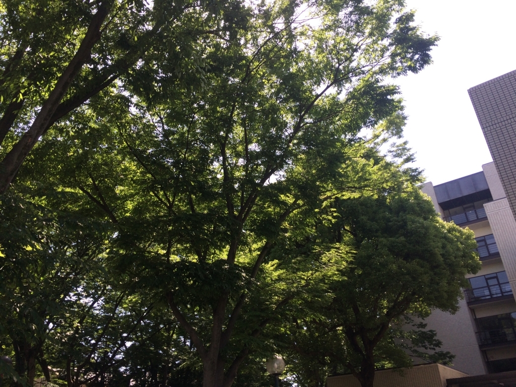 f:id:philo1985:20170621002828j:plain スーパーサイヤ人 神の愛 伝道者 哲学 キリスト