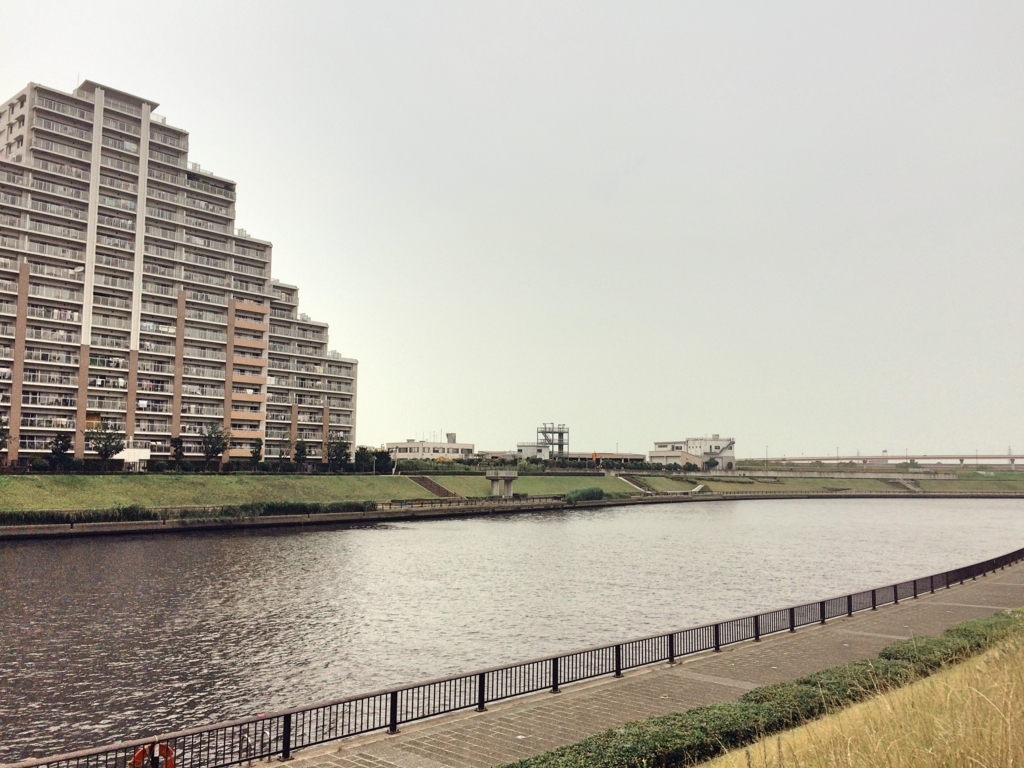 f:id:philo1985:20170728225355j:plain 思考の(偽)メシア性 コギト デカルト カント フッサール