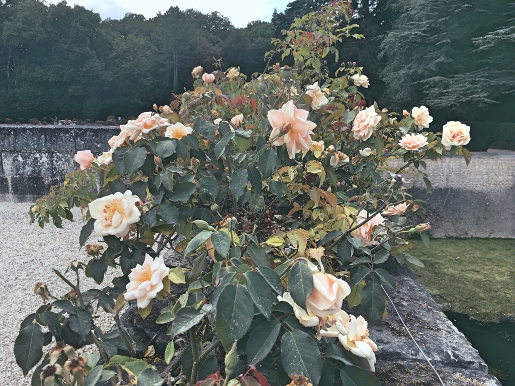 f:id:philo1985:20170822063530j:plain 死 ニヒリスト キルケゴール 絶望