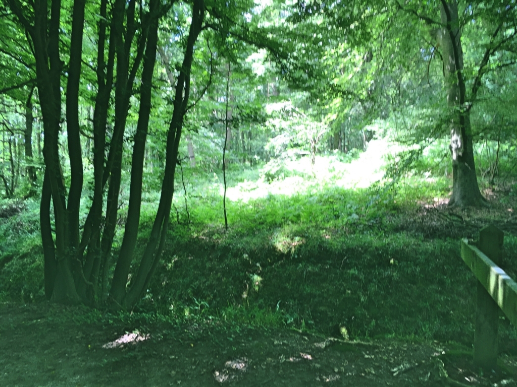 f:id:philo1985:20180625110408j:plain エンターテインメント フィクション 逆転満塁ホームラン 作家 バカ勝ち