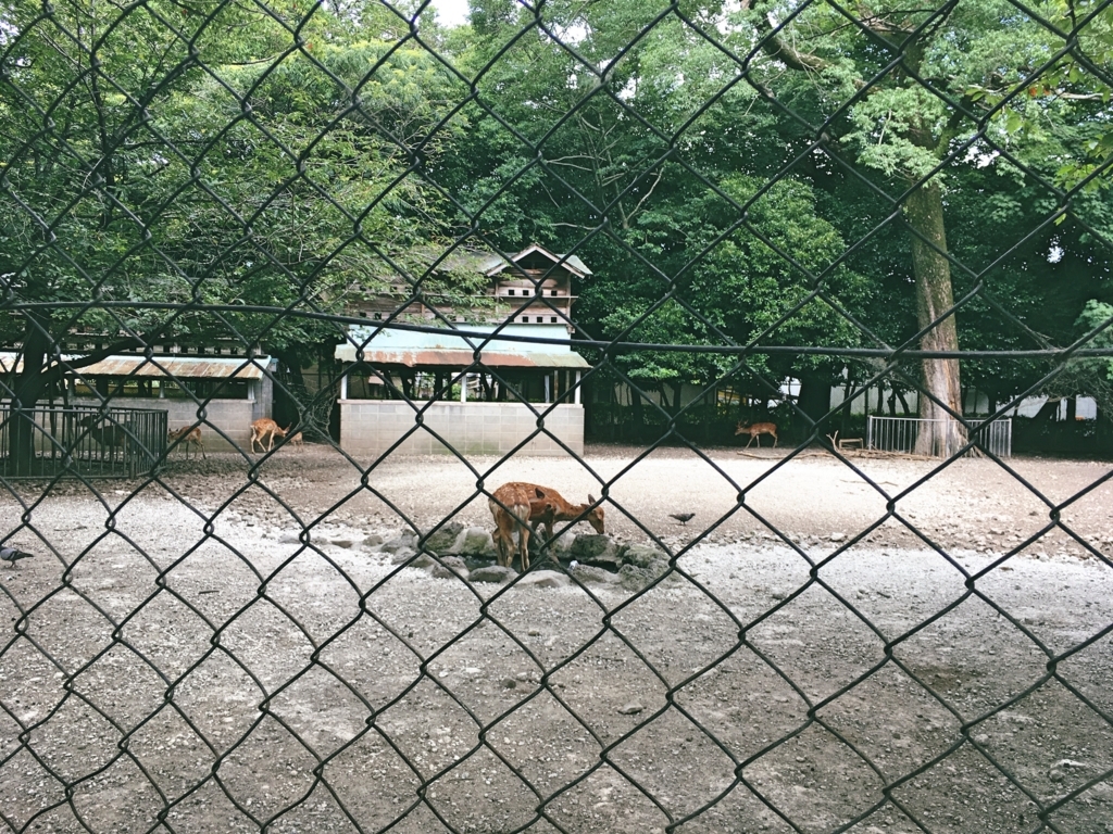f:id:philo1985:20180806080255j:plain 大学 大学院 哲学 人生 ブログ 感謝