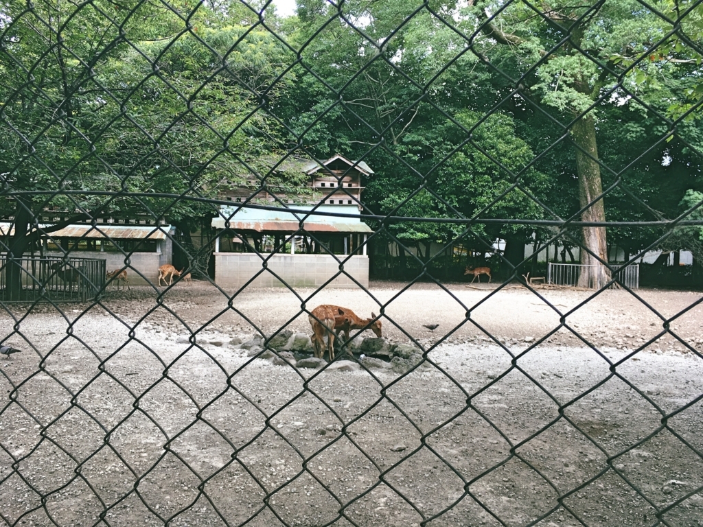 大学 大学院 哲学 人生 ブログ 感謝