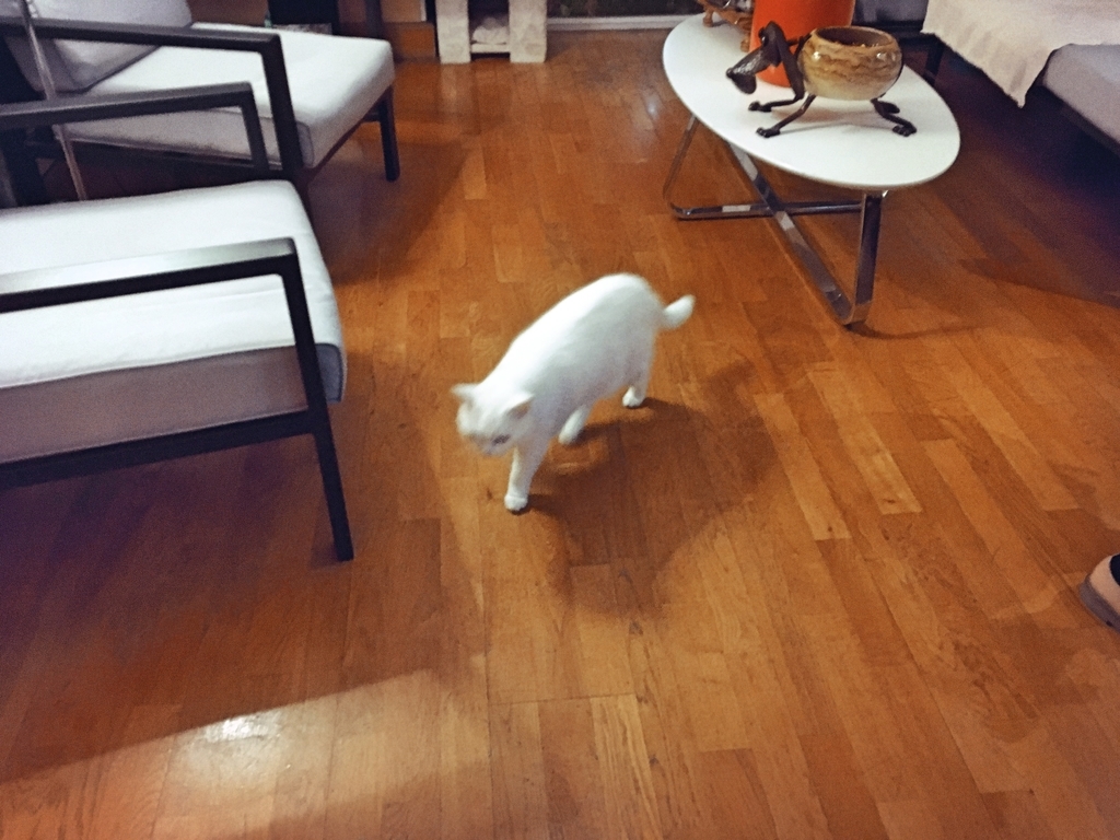 f:id:philo1985:20190131094353j:plain ブログ 文体 ボツ記事 丁寧語 イデアの昼と夜