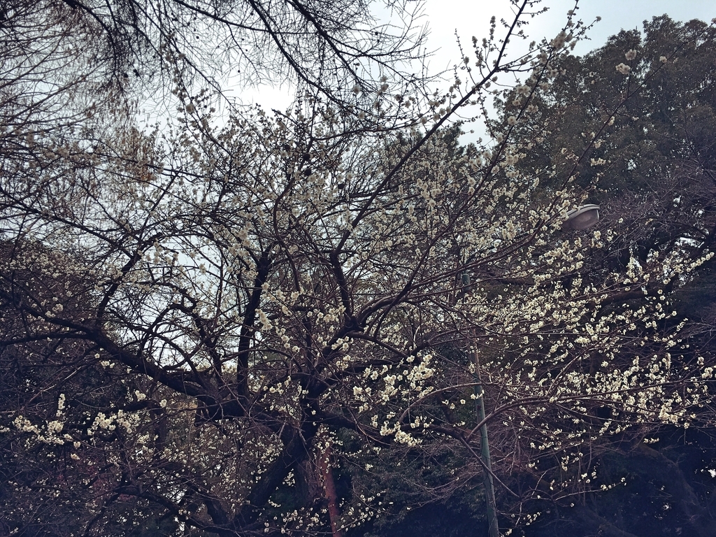 f:id:philo1985:20190304095751j:plain 社会 職場 ブータン北欧 幸福 日本人 イヴ・クライン 青
