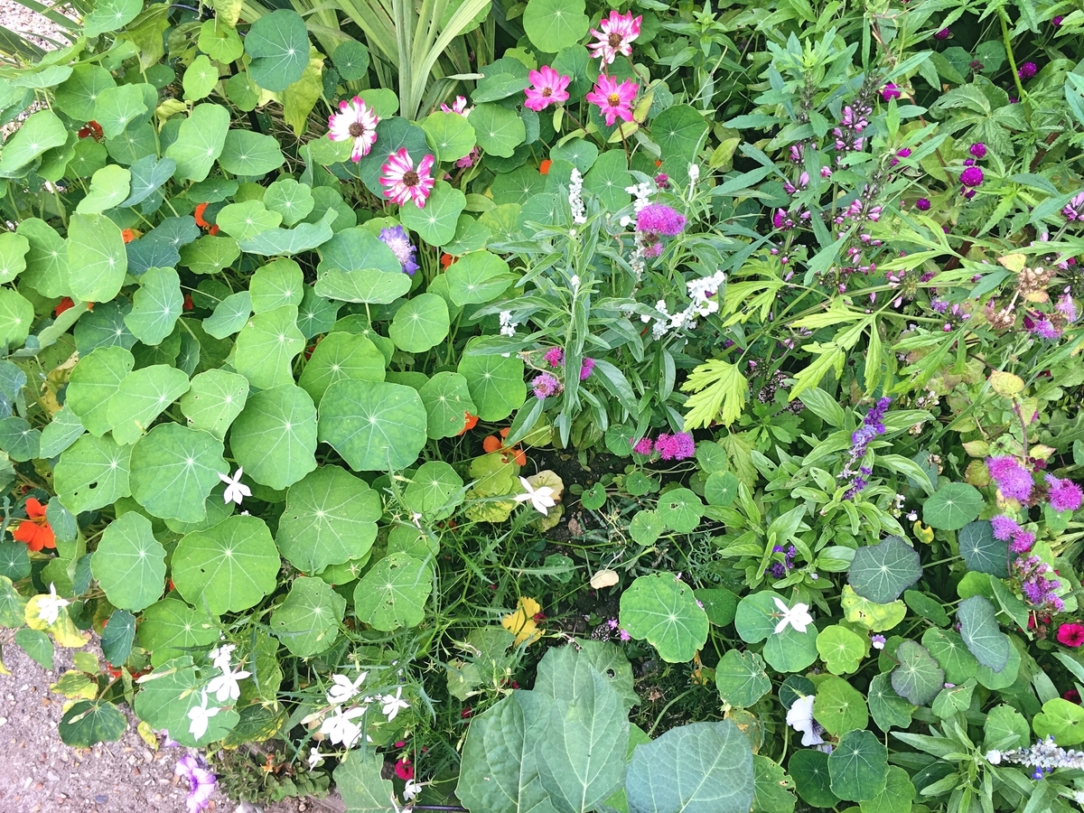 f:id:philo1985:20190421072955j:plain f:id:philo1985:20190421072955j:plain