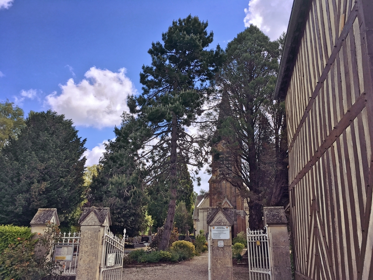 f:id:philo1985:20190602184633j:plain 哲学 悪霊 パラノイア コギト 絶対確実性 サミュエル・ベケット 名づけえぬもの 第一省察 デカルト