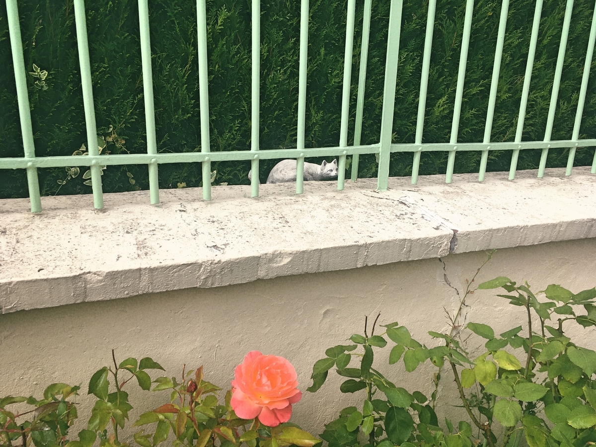 f:id:philo1985:20190914100338j:plain 所有 暴力 告白 ロマンティック ホラー 死霊のはらわた ジャニーズ
