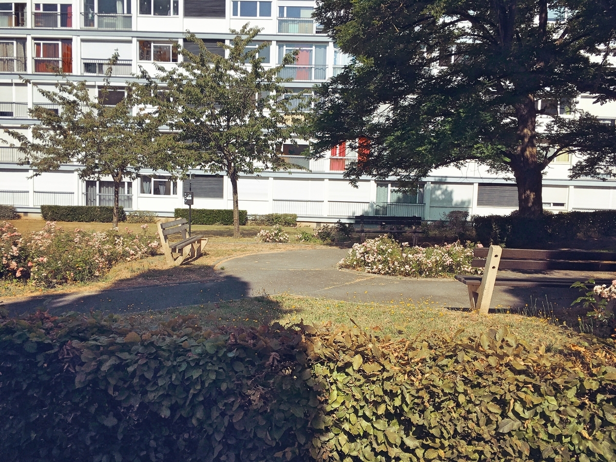 f:id:philo1985:20191002142539j:plain 対話 意志 愛 民主主義 市民 共生 形而上学