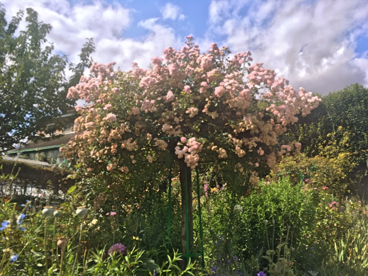 f:id:philo1985:20191125101543j:plain ローマ帝国 ゲルマン人 SF的空想 VR 諦念