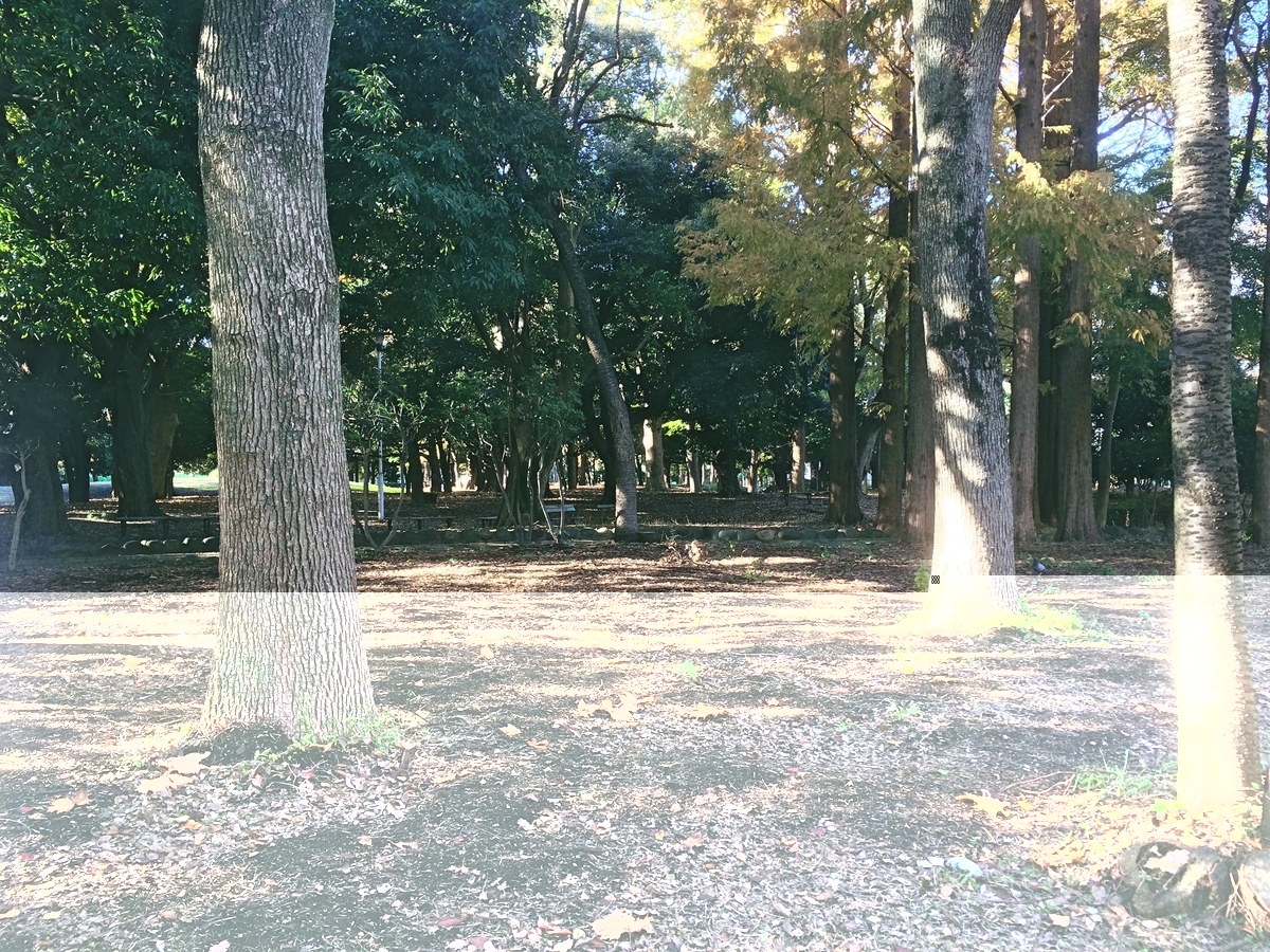 f:id:philo1985:20191207133834j:plain 形而上学 倫理 エマニュエル・レヴィナス 存在 コギト 倫理学