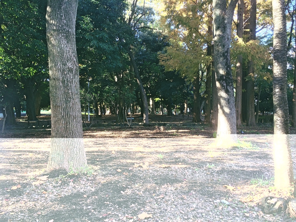 形而上学 倫理 エマニュエル・レヴィナス 存在 コギト 倫理学