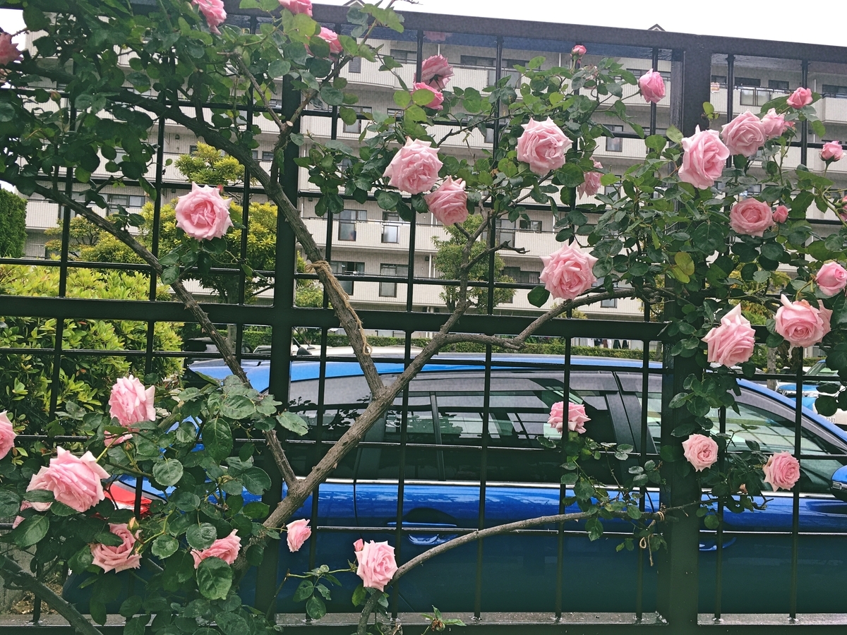 f:id:philo1985:20200525172106j:plain 家族愛 のび太くん 哲学 大衆