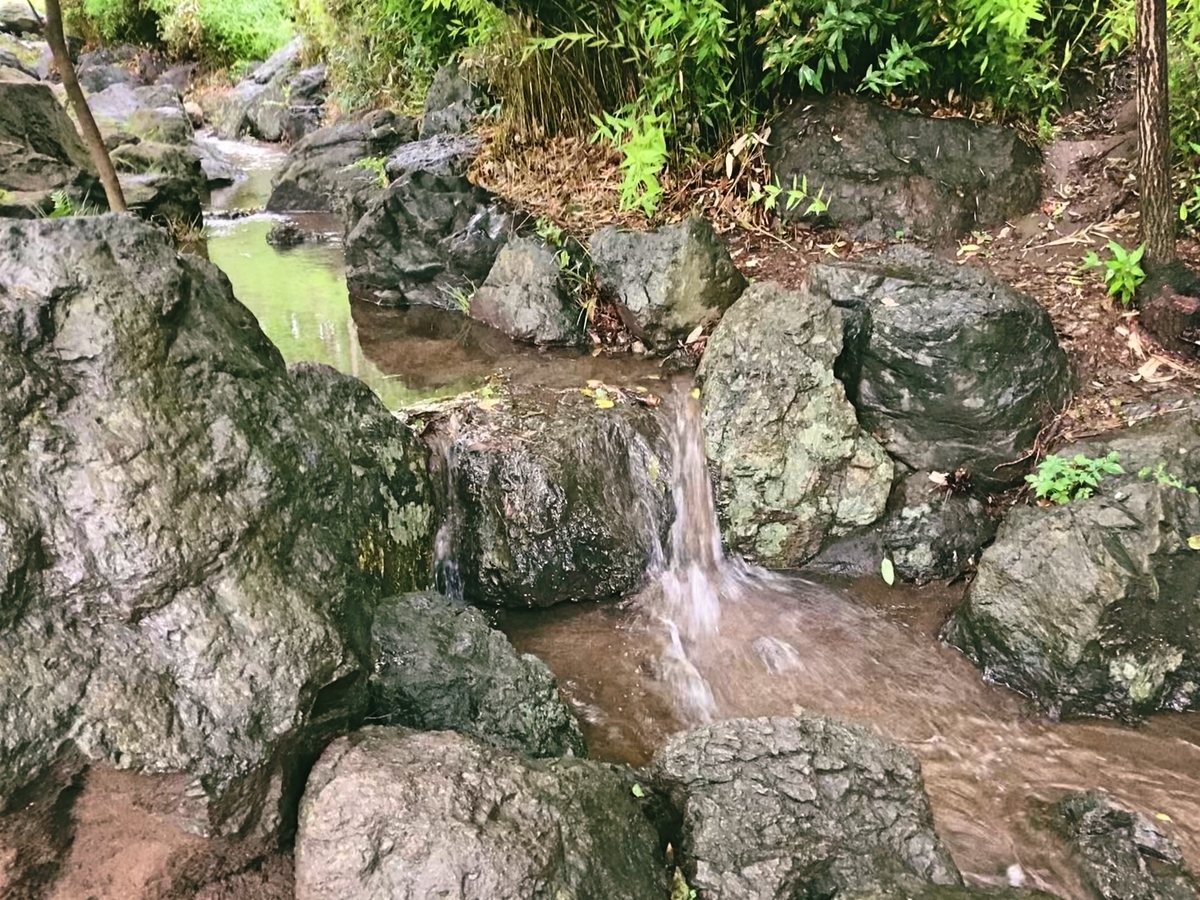 哲学 芸術 モネ 認識 実在 天気