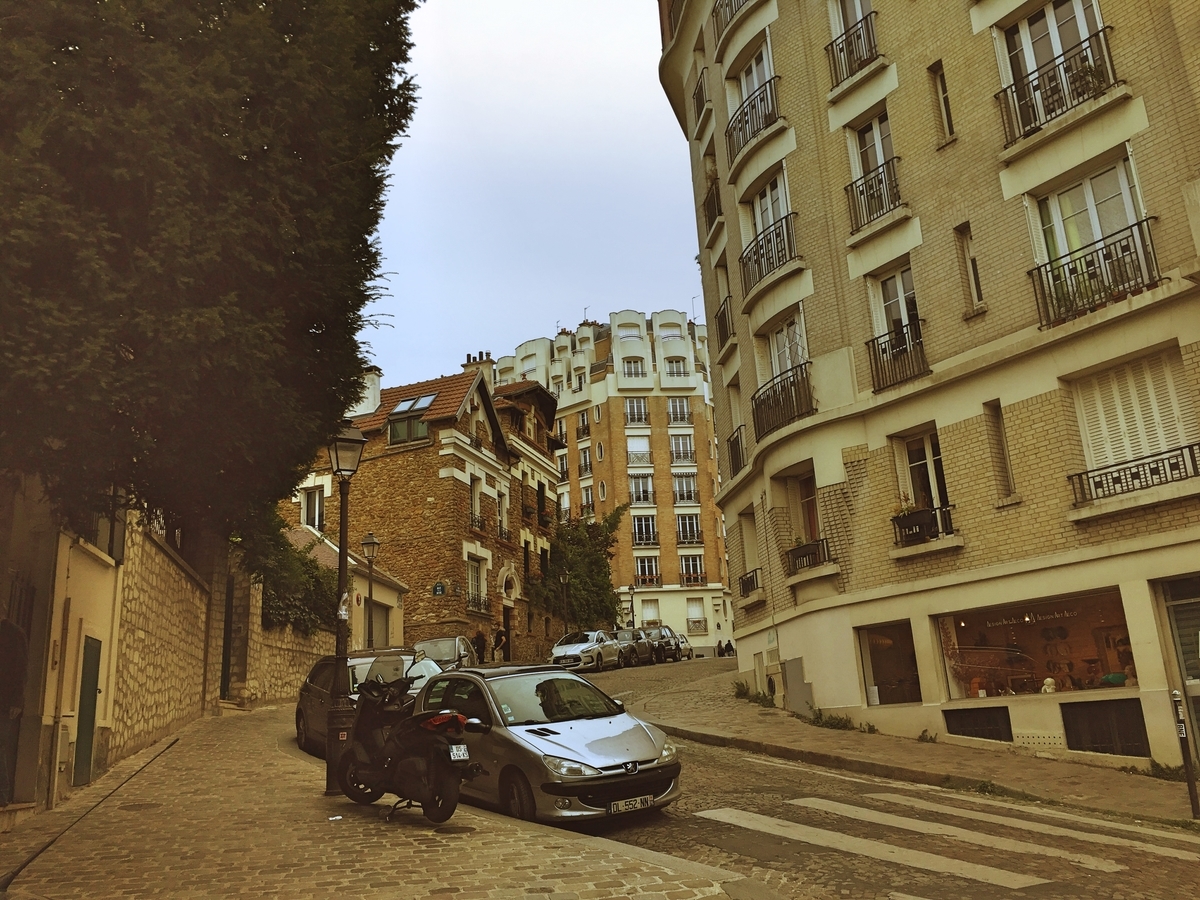 デカルト フッサール 論理学研究 内的独白