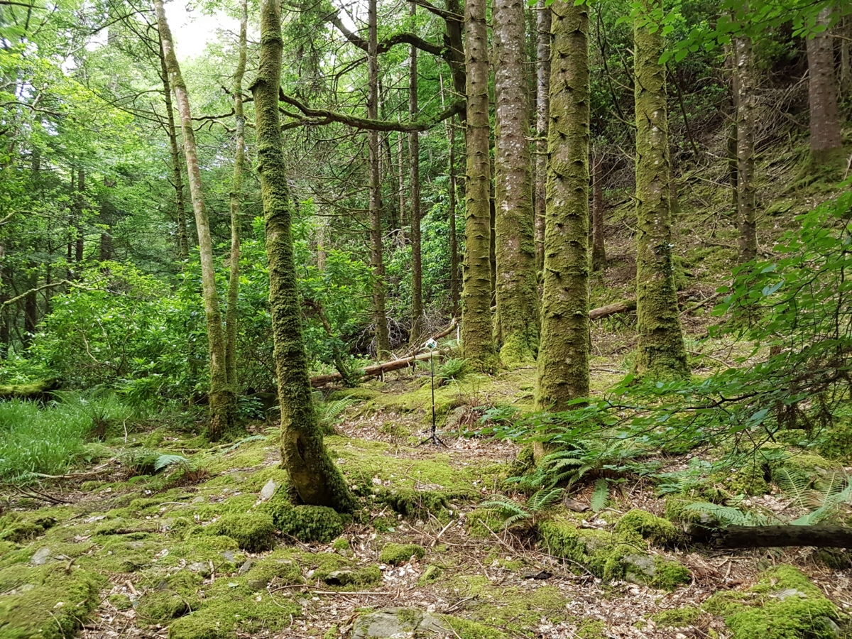 f:id:pho:20160703154218j:plain