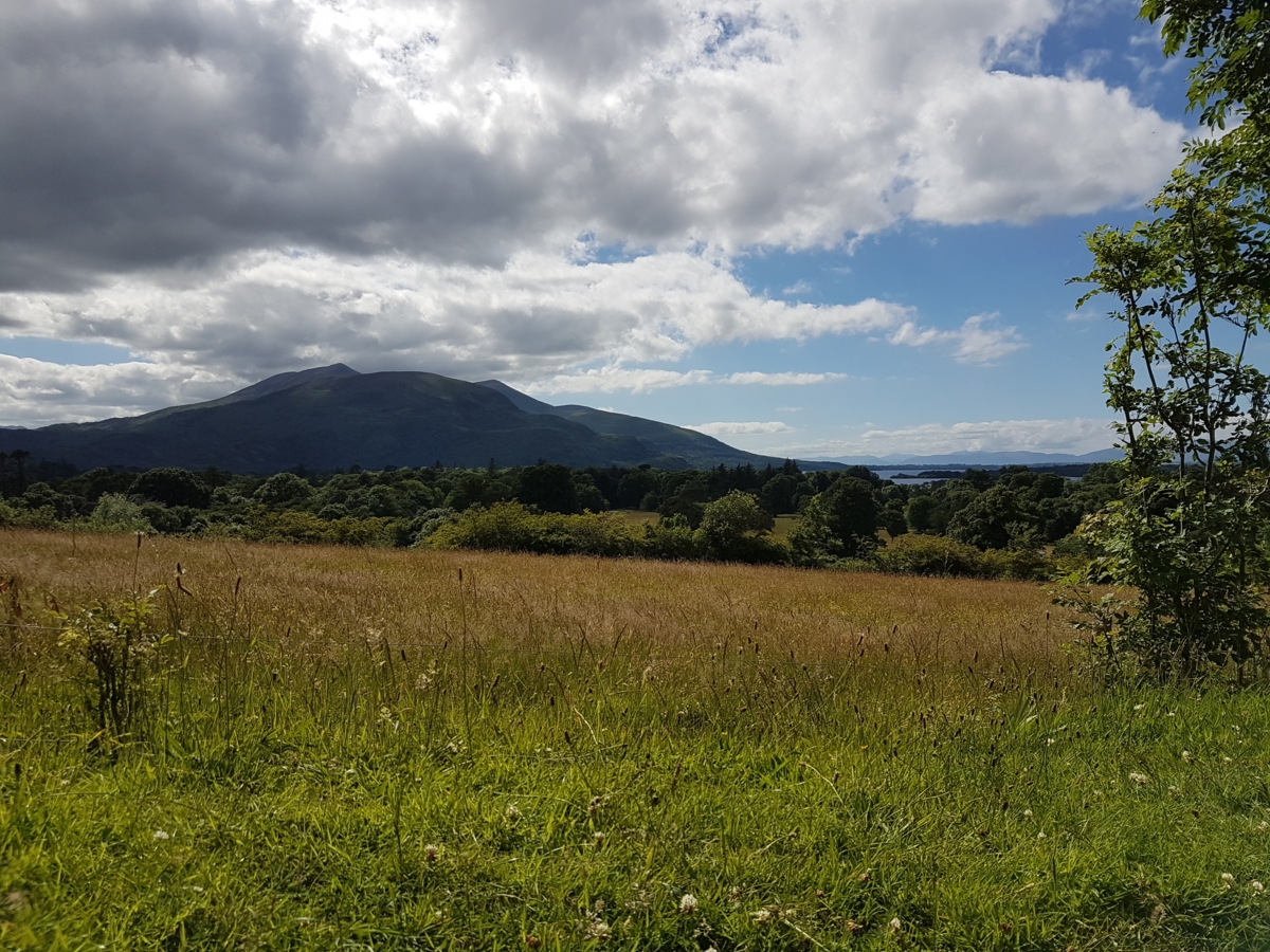 f:id:pho:20160703164812j:plain