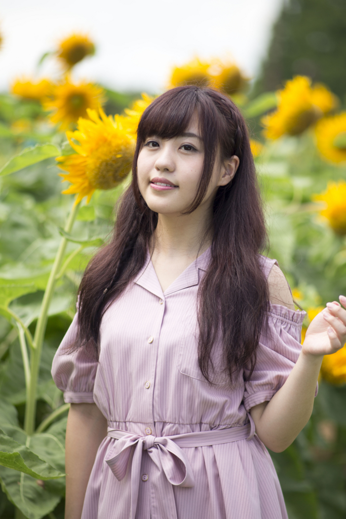 f:id:pho4:20170901181056j:plain