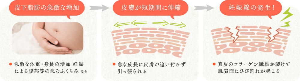 f:id:phoenix5772:20201118114453p:plain