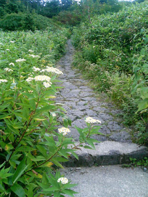 f:id:phon4:20080924224501j:image