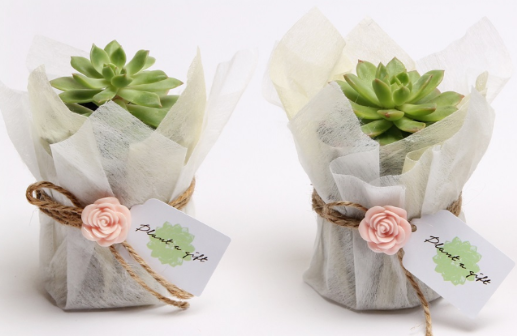 f:id:phongduyvn:20201205131254p:plain