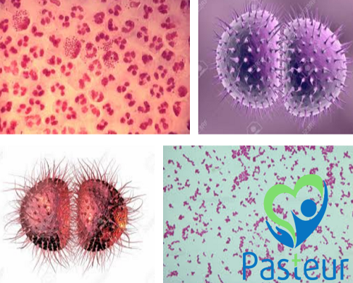 f:id:phongkhampasteur:20181004174534p:plain f:id:phongkhampasteur:20181004174534p:plain