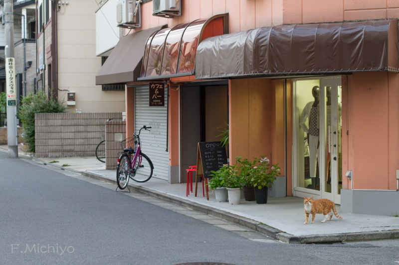f:id:photo-fmichiyo:20150526073636j:plain f:id:photo-fmichiyo:20150526073636j:plain
