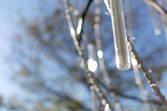 f:id:photo-fmichiyo:20161221023026j:plain