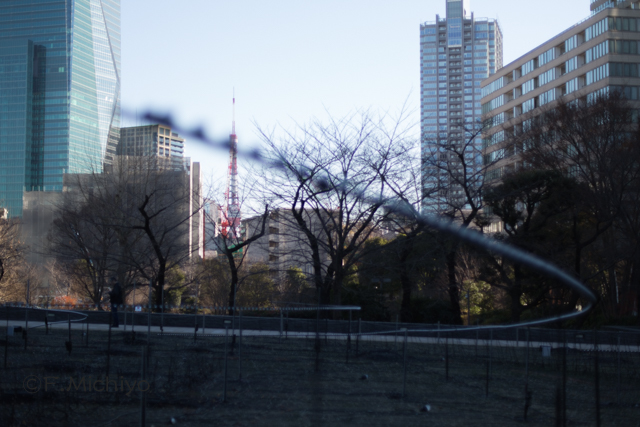 f:id:photo-fmichiyo:20161221023728j:plain