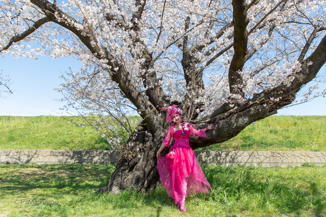 f:id:photo-fmichiyo:20190429114008j:plain f:id:photo-fmichiyo:20190429114008j:plain
