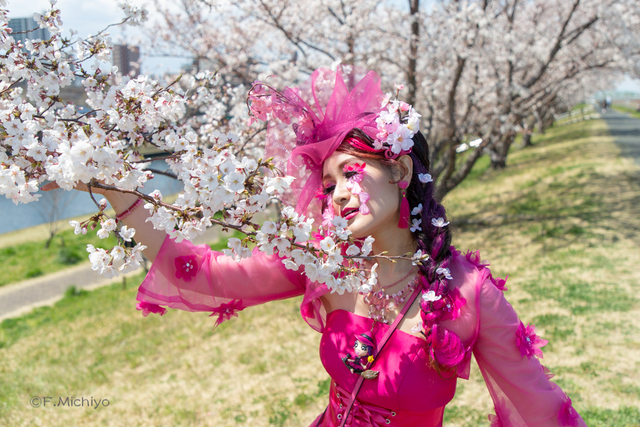 f:id:photo-fmichiyo:20190429114122j:plain f:id:photo-fmichiyo:20190429114122j:plain