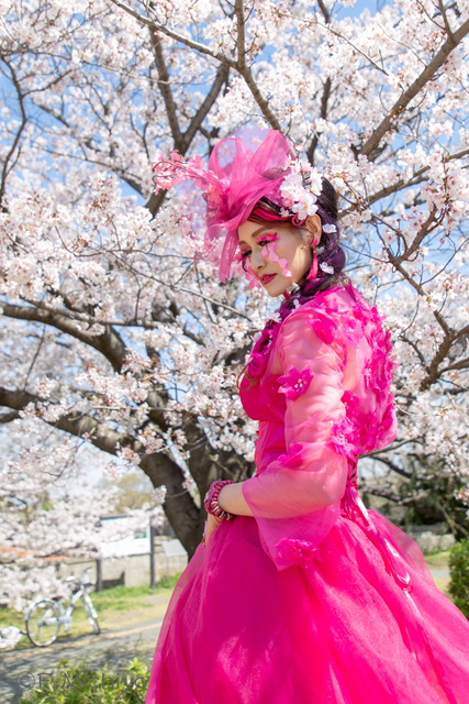 f:id:photo-fmichiyo:20190429114125j:plain f:id:photo-fmichiyo:20190429114125j:plain