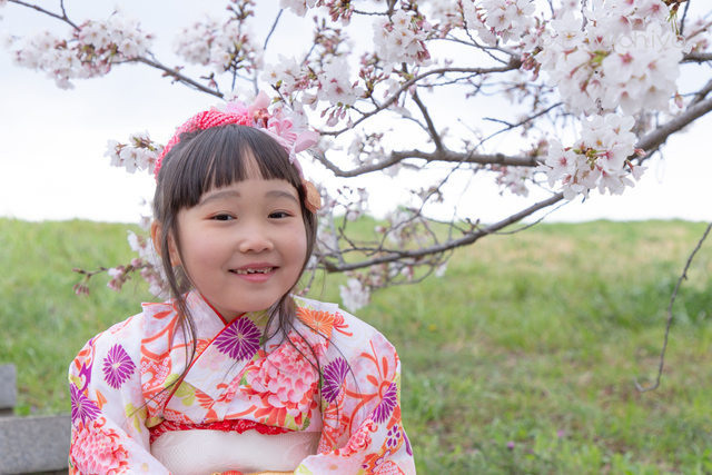 f:id:photo-fmichiyo:20190817222809j:plain