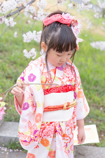 f:id:photo-fmichiyo:20190817222822j:plain