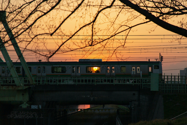 f:id:photo-fmichiyo:20210117014704j:plain