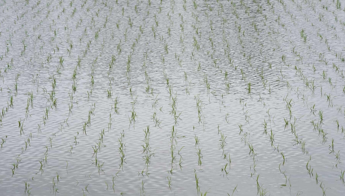 f:id:photo-k:20190604221024j:plain