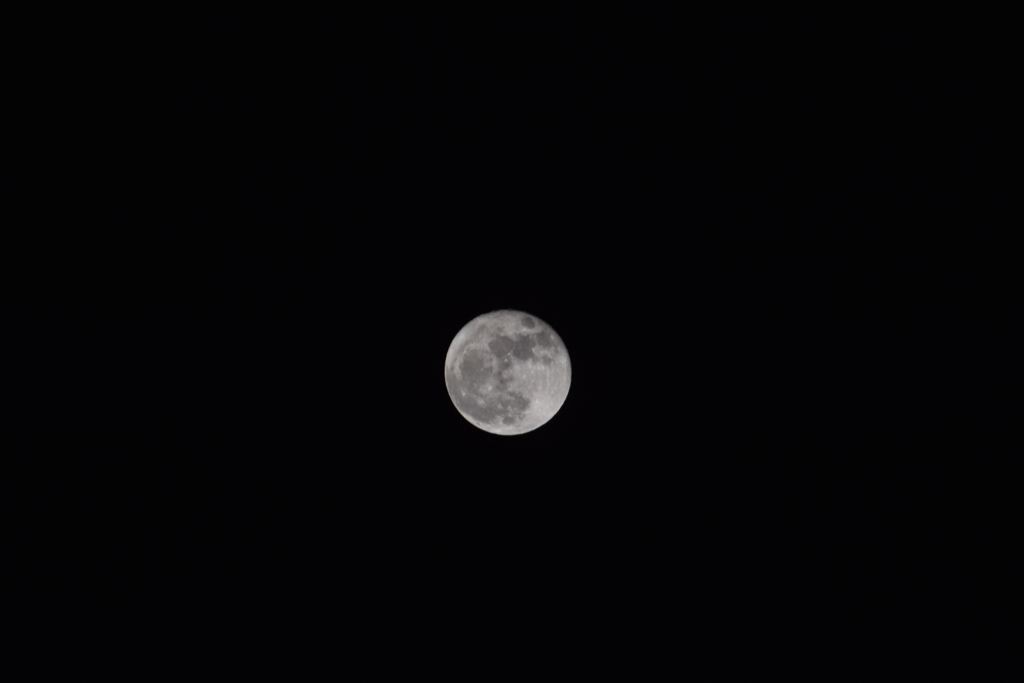 f:id:photo-nh:20161115211206j:plain
