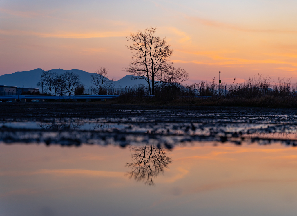 f:id:photo-no-wa:20190312235955j:plain