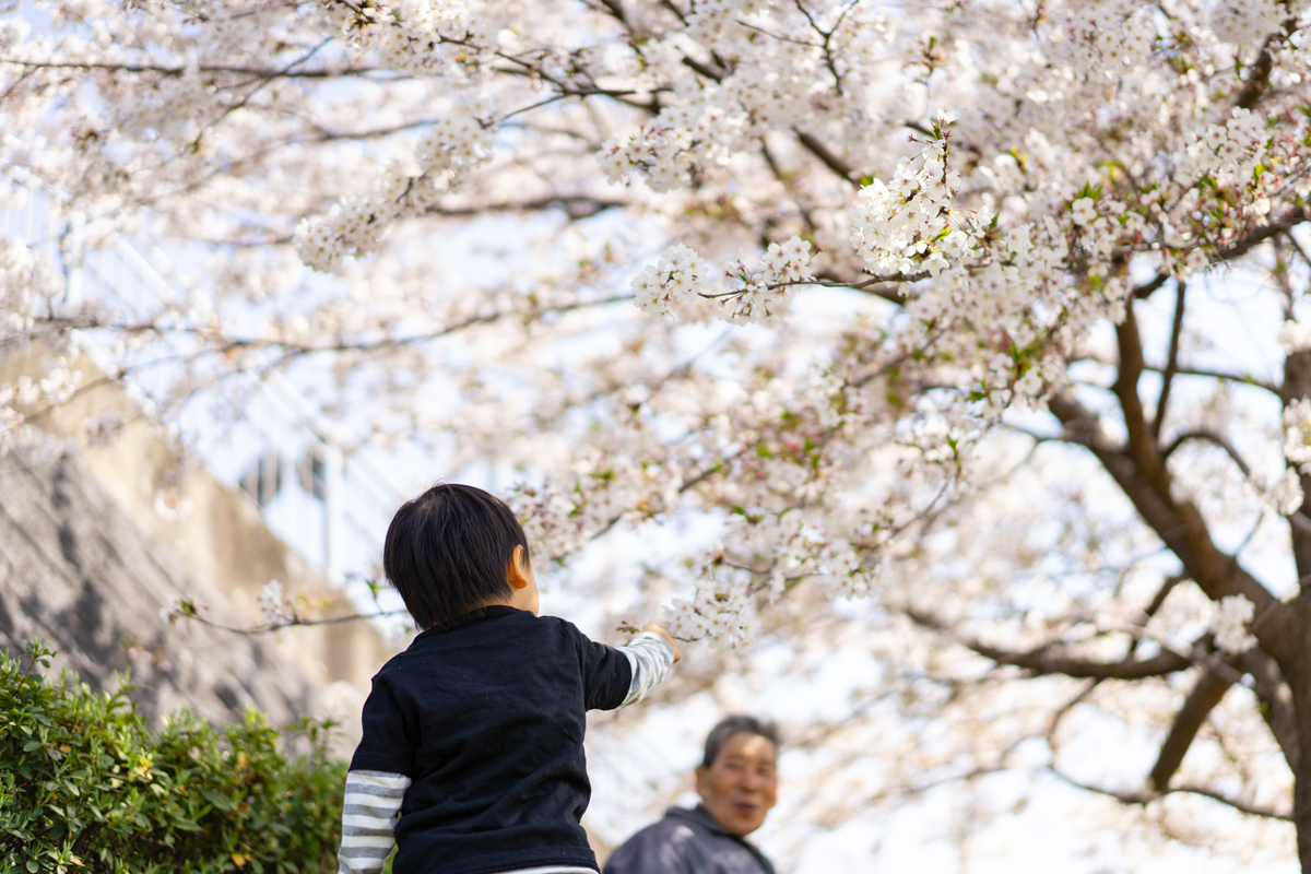 ブランド一覧 | ワールド オンラインストア 家族撮影記】お花見撮影が楽しかったという話からの大事件 人形
