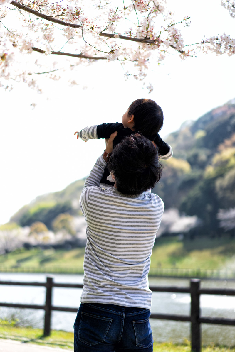 家族撮影記】お花見撮影が楽しかったという話からの大事件