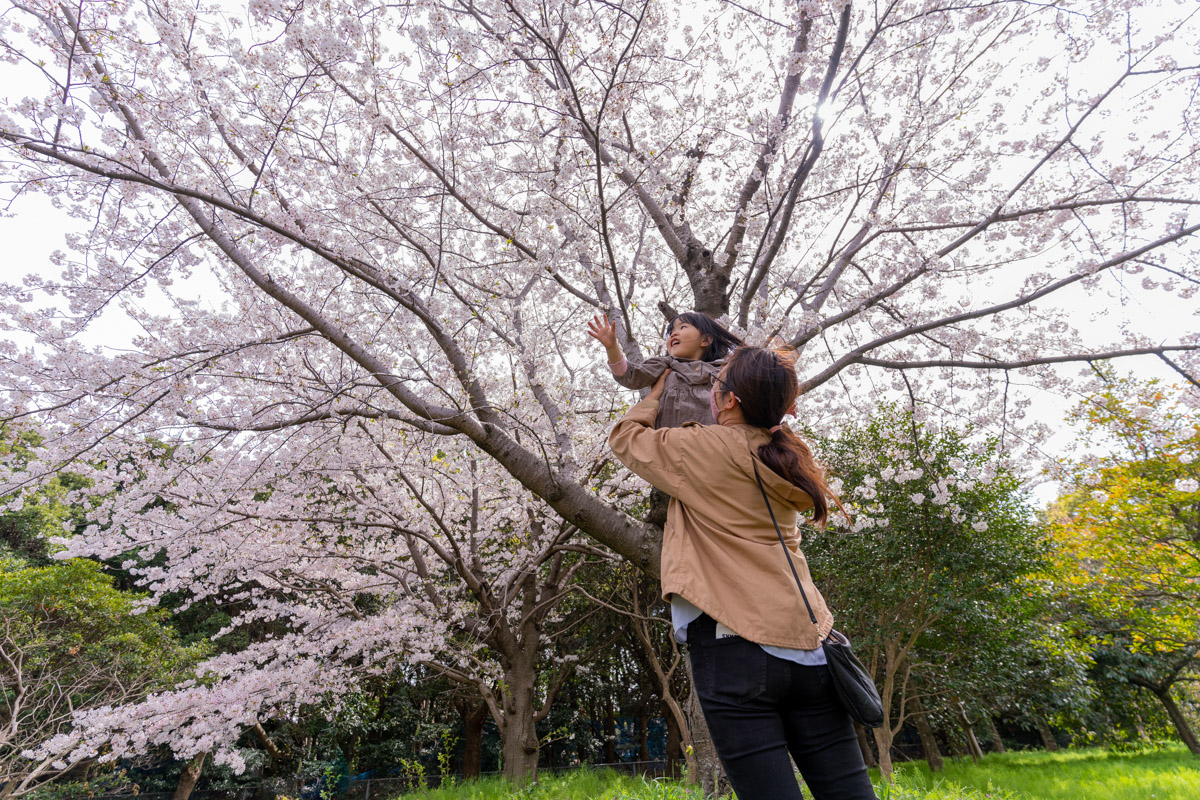 f:id:photo-no-wa:20210328131831j:plain
