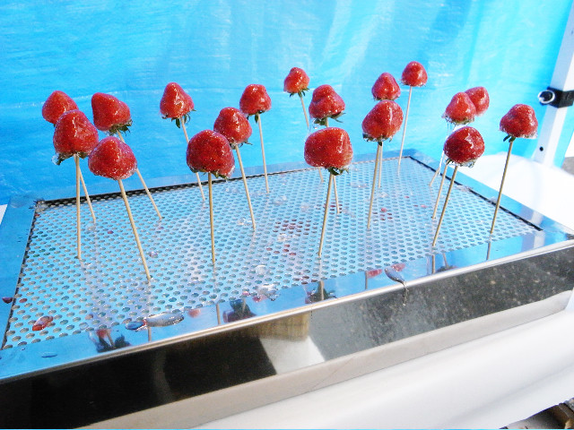 f:id:photo0321:20100703153721j:image f:id:photo0321:20100703153721j:image