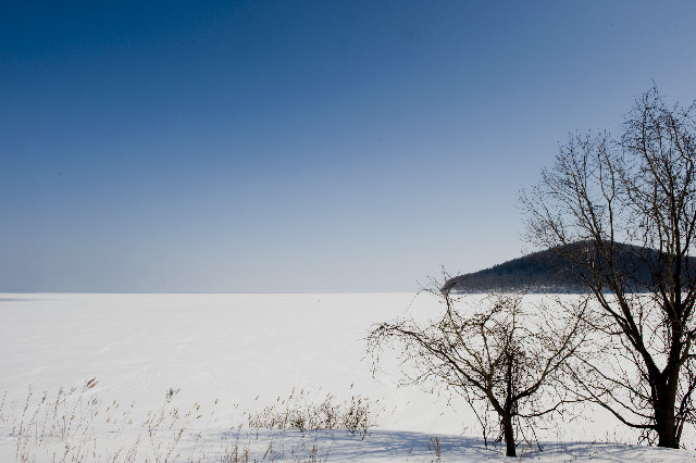 f:id:photo0321:20110220104554j:image f:id:photo0321:20110220104554j:image