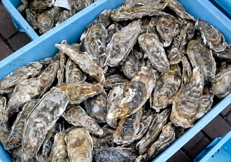 f:id:photo0321:20121104144951j:image f:id:photo0321:20121104144951j:image