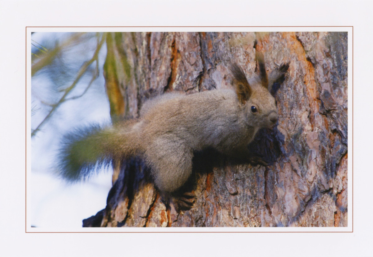 f:id:photo0321:20190628185326j:plain f:id:photo0321:20190628185326j:plain